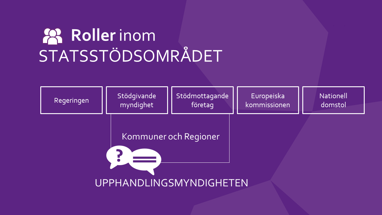 Roller inom statsstödsområdet: regeringen, stödgivande myndighet, stödmottagande företag, Europeiska kommissionen, nationell domstol. Upphandlingsmyndigheten tar fram stöd för kommuner och regioner.